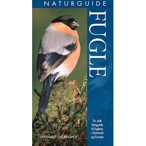 Jonathan Elphick Naturguide Fugle