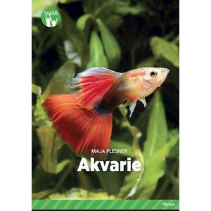 Maja Plesner Akvarie