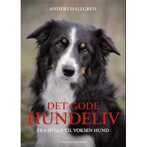 Anders Hallgren Det Gode Hundeliv