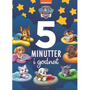 ViacomCBS Fem Minutter I Godnat - Paw Patrol