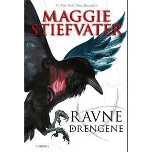 Maggie Stiefvater Ravnedrengene