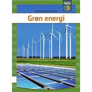 Lasse Højstrup Sørensen Grøn Energi