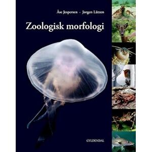 Åse Jespersen Zoologisk Morfologi