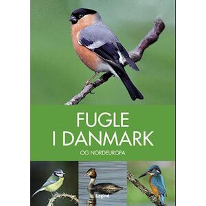 Peter Goodfellow Fugle I Danmark Og Nordeuropa