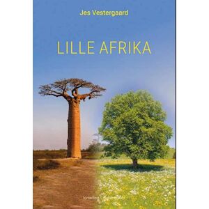 Jes Vestergaard Lille Afrika