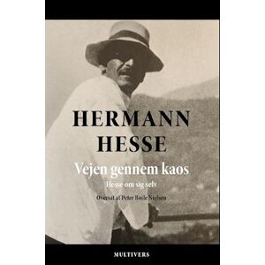 Herman Hesse Vejen Gennem Kaos