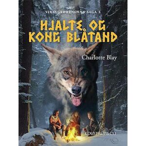 Charlotte Blay Hjalte Og Kong Blåtand