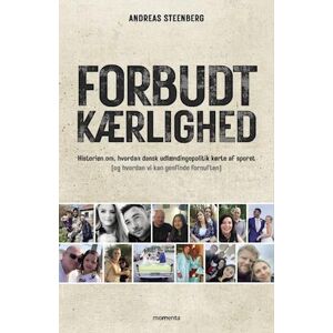 Steinberg Forbudt Kærlighed