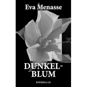 Eva Menasse Dunkelblum