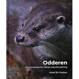 Aksel Bo Madsen Odderen