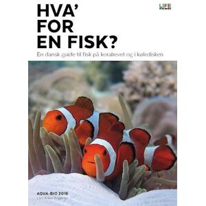 Lars Anker Angantyr Hva' For En Fisk?