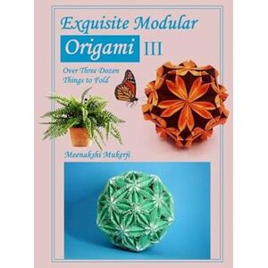 Meenakshi Mukerji Exquisite Modular Origami Iii