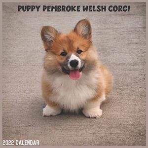 Pro Calendar 2022-2023 Pembroke Welsh Corgi Puppy 2022 Calendar: Official Corgi Dog Breed Calendar 2022, 16 Months