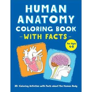 Rockridge Press Human Anatomy Coloring Book With Facts