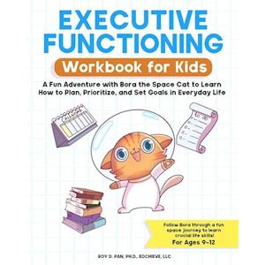 Roy Pan D. Executive Functioning Workbook For Kids