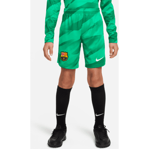 FC Barcelona 2023/24 Stadium Goalkeeper Nike Dri-FIT-fodboldshorts til større børn - grøn grøn XS