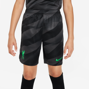 Liverpool FC 2023/24 Stadium Goalkeeper Nike Dri-FIT-fodboldshorts til større børn - grå grå L