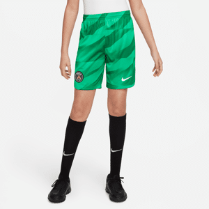 Paris Saint-Germain 2022/23 Stadium Goalkeeper-Nike Dri-FIT-fodboldshorts til større børn - grøn grøn L