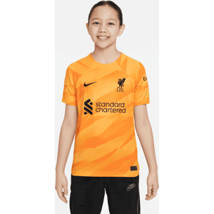 Kortærmet Liverpool FC 2023/24 Stadium Goalkeeper Nike Dri-FIT-fodboldtrøje til større børn - gul gul S