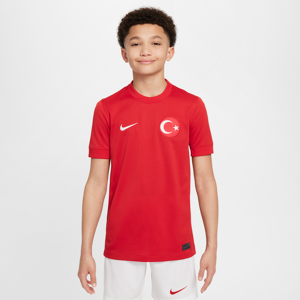 Tyrkiet 2024/25 Stadium Away Nike Dri-FIT-fodboldtrøje til mænd - rød rød XS