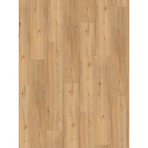 Parador Vinyl Basic 5.3 Eg natur planke børstet struktur 4-sidet fas Gulv