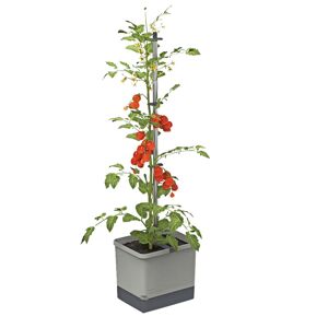 Garden Life Gusta Garden Tom Tomato - Light Grey