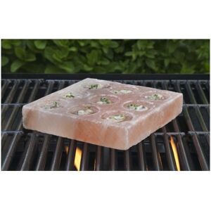 BBQ Masters Himalaya Salt Sten  8