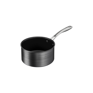 Tefal Premium Saucepan 16 cm - Pande