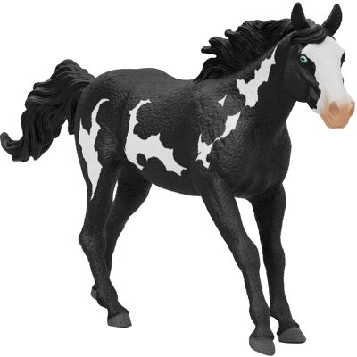 Schleich HORSE CLUB 14900 legetøjsfigur til børn, Spil figur Schleich HORSE CLUB 14900 legetøjsfigur til børn, Spil figur