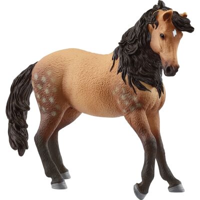 Schleich HORSE CLUB 14894 legetøjsfigur til børn, Spil figur Schleich HORSE CLUB 14894 legetøjsfigur til børn, Spil figur