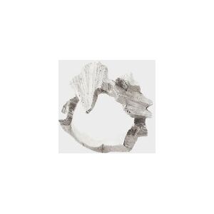 Niels Monies Fossil Ring Silver 52