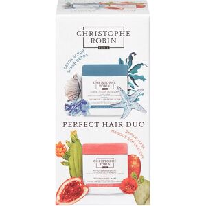 Christophe Robin Perfect Hair Duo