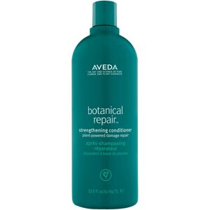 Aveda Botanical Repair Shampoo (1000ml)