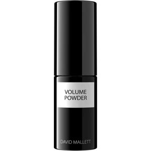 David Mallett Volume Powder (5 g)