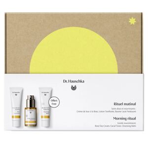 Dr. Hauschka Christmas Gift Kit Morning Ritual (30 + 30 +  30 ml)