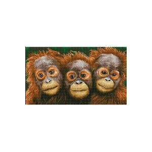 Diamond Dotz 47 x 27 cm - Orangutanger