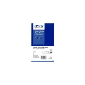 Epson SureLab Pro-S Paper Glossy - Skinnende - 252 my - Rulle (12,7 cm x 65 m) - 254 g/m² - 2 rulle(r) papir - for SURELAB D3000, D700, SL-D1000  SURELAB SL D700, D800, D800 240V