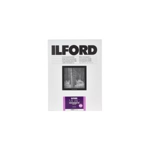 Ilford 1x100 Ilford MG RC DL 1M 10x15