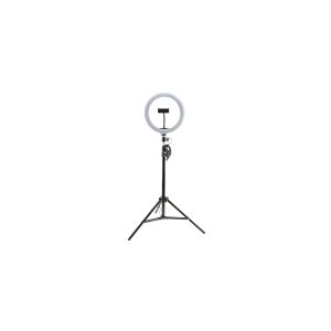 4smarts LoomiPod XL - Selfie-ringlys - 1 hoveder - LED - DC