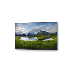 Dell P5524Q - 55 Diagonal klasse (54.6 til at se) LED-bagbelyst LCD paneldisplay - konference - 4K UHD (2160p) 3840 x 2160