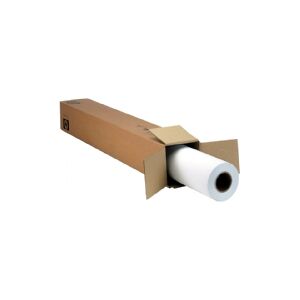 HP Everyday - Polypropylen (PP) - mat - Rulle (152,4 cm x 30,5 m) - 120 g/m² - 2 rulle(r) film - for DesignJet 5000, 5000ps, 5000uv, 5500, 5500ps, Z6100, Z6100ps, Z6200, Z6600, Z6800