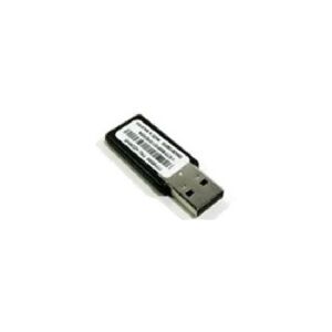 Lenovo USB Memory Key for VMWare ESXi 5.0 - Bokspakke - 1 server - for System x3550 M4  x3650 M4  x3950 X5