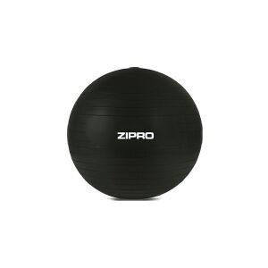 Zipro Anti-Burst gymnastikbold 55 cm sort