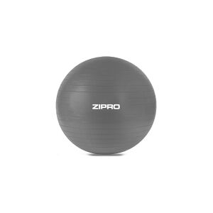 Zipro Anti-Burst gymnastikbold 55 cm grå