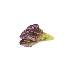 Click and Grow Click & Grow SGR84x3, Spiselig plante, Red lettuce, Startsæt, 7 - 14 dage, 18 - 24 °C, 3 stk