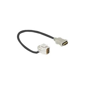 Delock Keystone Module HDMI female > HDMI female 110° with cable - HDMI-kabel - HDMI hun til HDMI hun - 22 cm