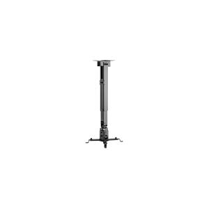 AISENS CWP01TSE-047, Væg/loft, 20 kg, Sort, Stål, 350 - 560 mm, 16°