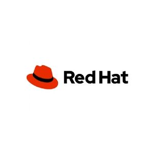 Red Hat Resilient Storage Add-On - Abonnement (1 år) - ubegrænsede gæster - Linux