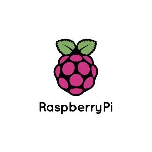 Raspberry Pi® CM4102016 Raspberry Pi Compute Modul 4 2 GB 4 x 1.5 GHz