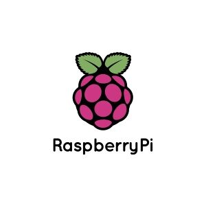 Raspberry Pi® IQaudio Codec Zero Raspberry Pi® lydkort